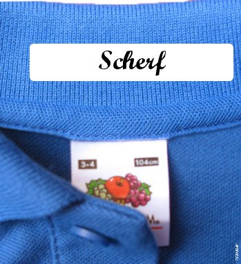 Kids Labels For School
